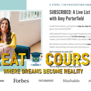 Buy SUBSCRIBED By Amy Porterfield