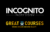 Buy Incognito Profit System 2.0 By Erik Cagi